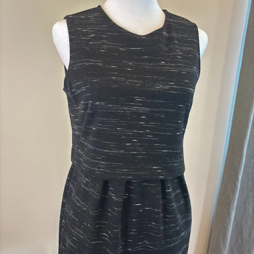 Ann Taylor Black Textured Sleeveless Sheath Dress | Women’s 4P Petite